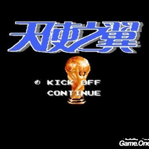 亚洲妇女毛浓浓的牝户
